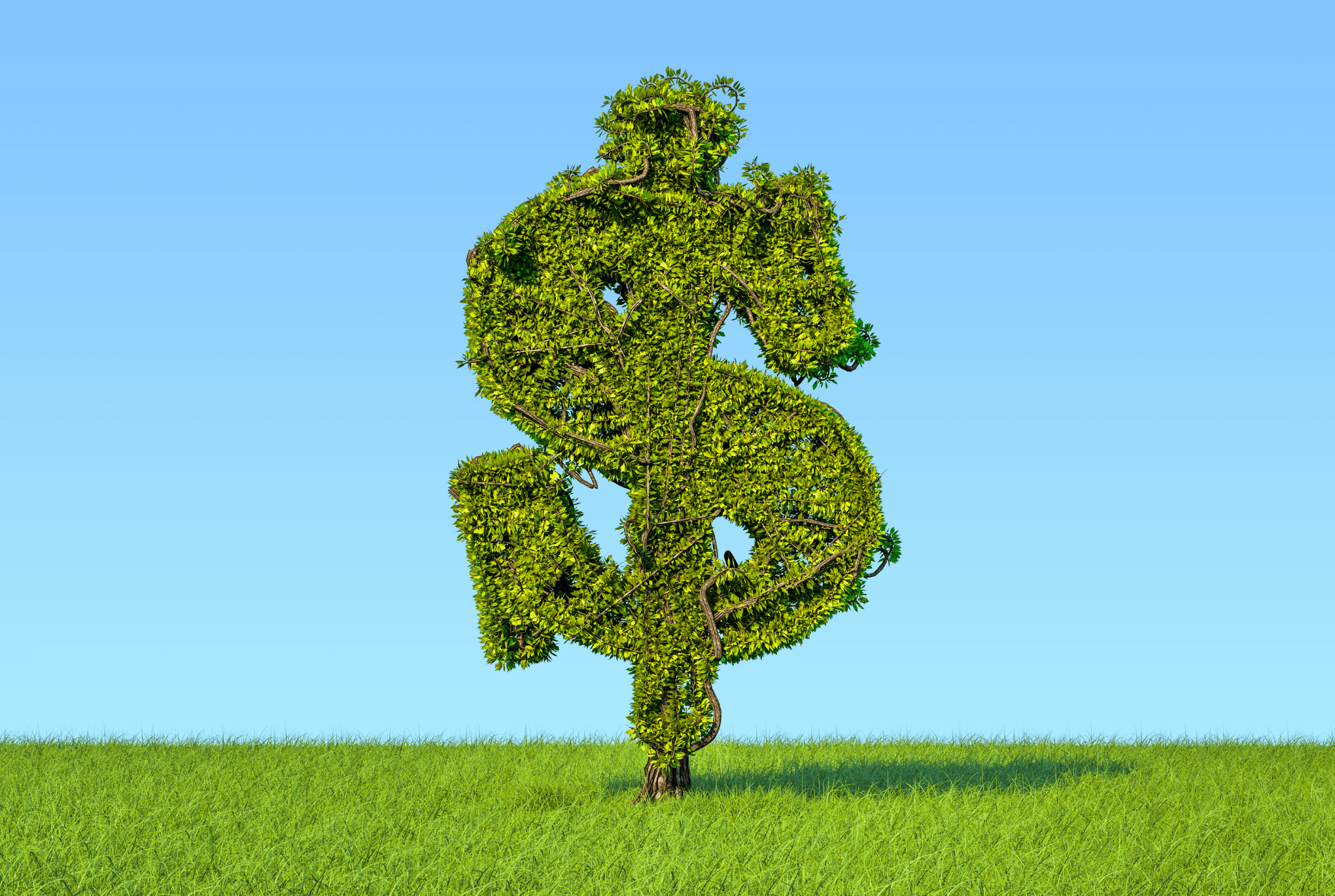 Dollar Symbol